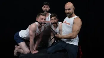 Mare Assessment: STUD LOADS Vol. 4